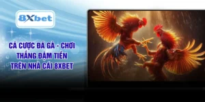 Cá Cược Đá Gà - Chơi Thắng Đậm Tiền Trên Nhà Cái 8XBET