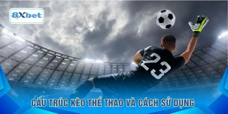 Cấu trúc kèo thể thao và cách sử dụng