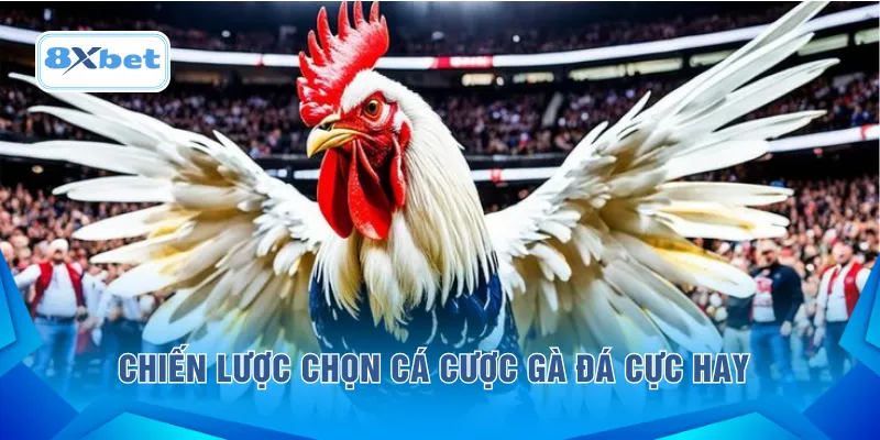 Chiến lược chọn cá cược gà đá cực hay