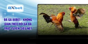 Đá Gà 8XBET - Không Gian Theo Dõi Gà Đá Trực Tuyến Siêu Nét