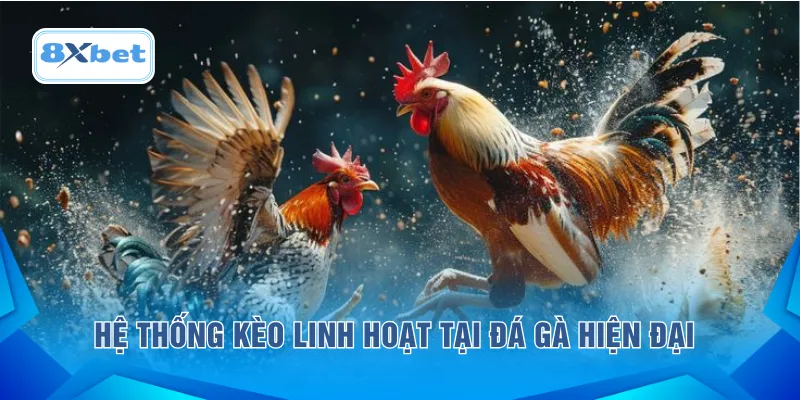 Hệ thống kèo linh hoạt tại đá gà hiện đại